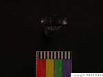 L_V22d6704 J3i24 T906 dM bd f257
